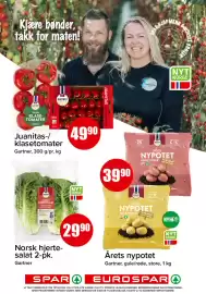 Eurospar kundeavis uke 24 Side 3