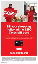 Coles catalogue week 24 Page 43