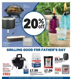 Meijer weekly ad week 24 Page 6