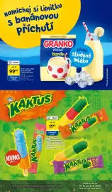 Tesco leták týden 24 Strana 9