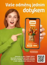 Terno leták týden 24 Strana 17