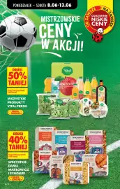 Biedronka gazetka tydzień 24 Strona 18