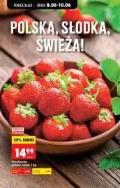 Biedronka gazetka tydzień 24 Strona 34