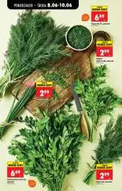 Biedronka gazetka tydzień 24 Strona 35