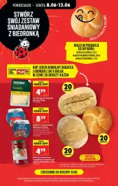 Biedronka gazetka tydzień 24 Strona 45