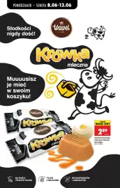 Biedronka gazetka tydzień 24 Strona 69