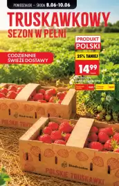 Biedronka gazetka tydzień 24 Strona 87
