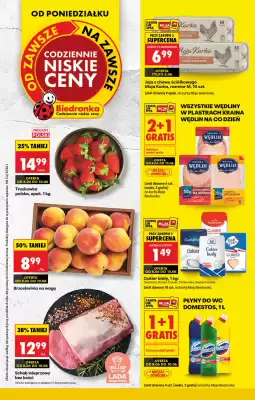 Biedronka gazetka