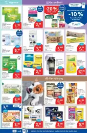 Budni Prospekt woche 25 Seite 5