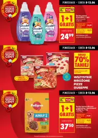 Biedronka gazetka tydzień 24 Strona 6