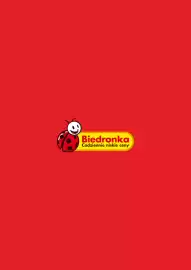 Biedronka gazetka tydzień 24 Strona 9