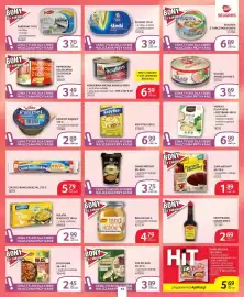 Selgros gazetka Strona 13