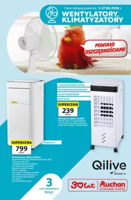 Auchan gazetka (ważność do 17-06)