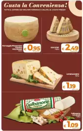Volantino Ipercoop Radenza Pagina 14