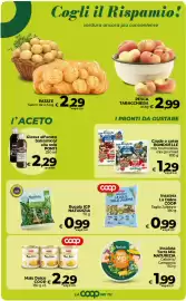 Volantino Ipercoop Radenza Pagina 22