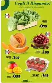 Volantino Ipercoop Radenza Pagina 23