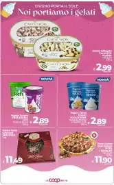 Volantino Ipercoop Radenza Pagina 29