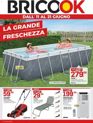 Volantino Brico OK