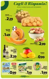 Volantino Coop Radenza Pagina 19