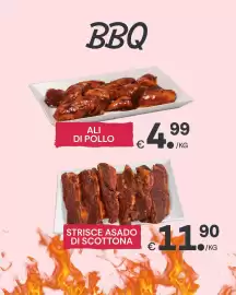 Volantino Centro Carne settimana 24 Pagina 13