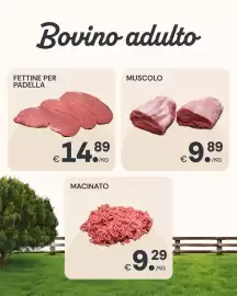 Volantino Centro Carne settimana 24 Pagina 2
