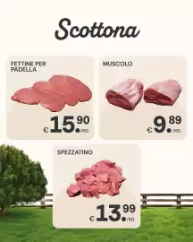 Volantino Centro Carne settimana 24 Pagina 3