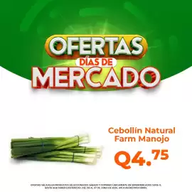 Folleto Suma Supermercados semana 24 Página 14
