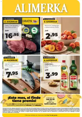 Folleto Alimerka (válido hasta el 14-06)