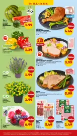 PENNY DE folder week 24 Pagina 38