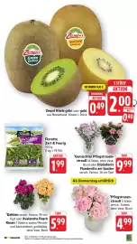 EDEKA Berger Prospekt woche 24 Seite 4
