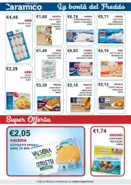 Volantino Caramico Pagina 14