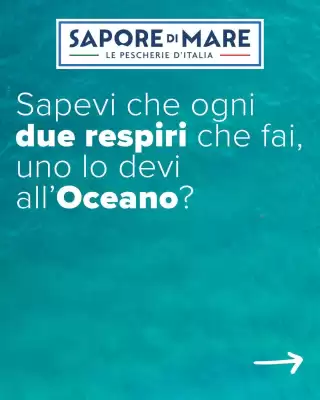 Sapore di Mare (valido fino al 14-06)