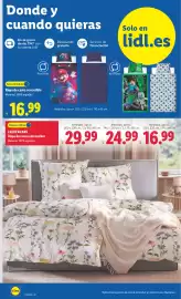 Catálogo Lidl | Bazar Página 6