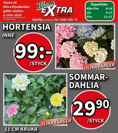 Extra Mjällby Stormarknad reklamblad vecka 24 Sida 14