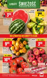 Polomarket gazetka tydzień 24 Strona 13