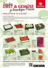 Selgros Prospekt woche 24 Seite 1