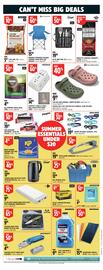 Canadian Tire flyer week 23 Page 12