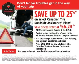 Canadian Tire flyer week 23 Page 10