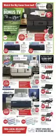 The Brick flyer Page 16
