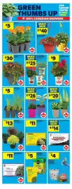 Real Canadian Superstore flyer week 23 Page 13