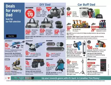 Canadian Tire flyer week 23 Page 3