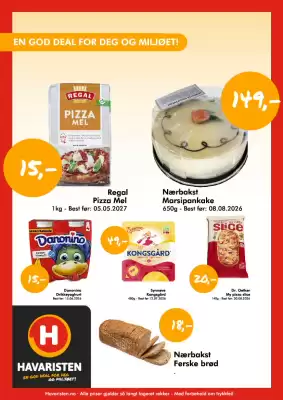Havaristen kundeavis