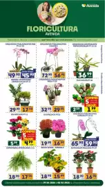 Catálogo Supermercados Avenida Página 13