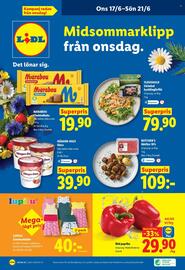 Lidl reklamblad vecka 25 Sida 28