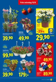 Lidl reklamblad vecka 25 Sida 15
