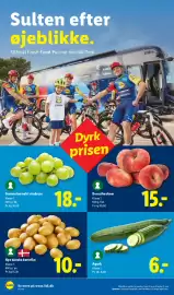 Lidl tilbudsavis Side 19