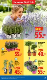 Lidl tilbudsavis Side 44