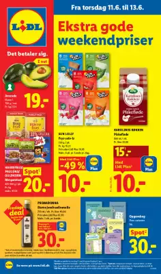 Lidl (gælder indtil 13-06)
