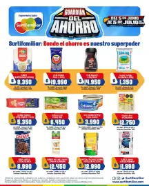 Catálogo Surtifamiliar Página 2