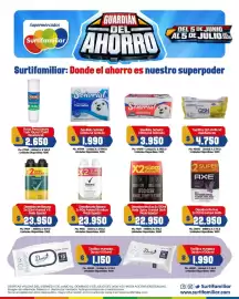 Catálogo Surtifamiliar Página 6